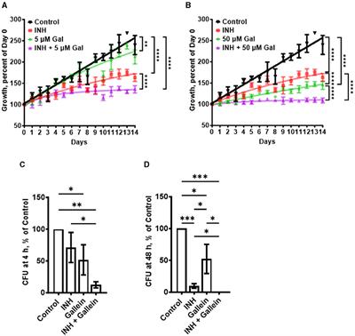 Gallein potentiates isoniazid's ability to suppress Mycobacterium tuberculosis growth